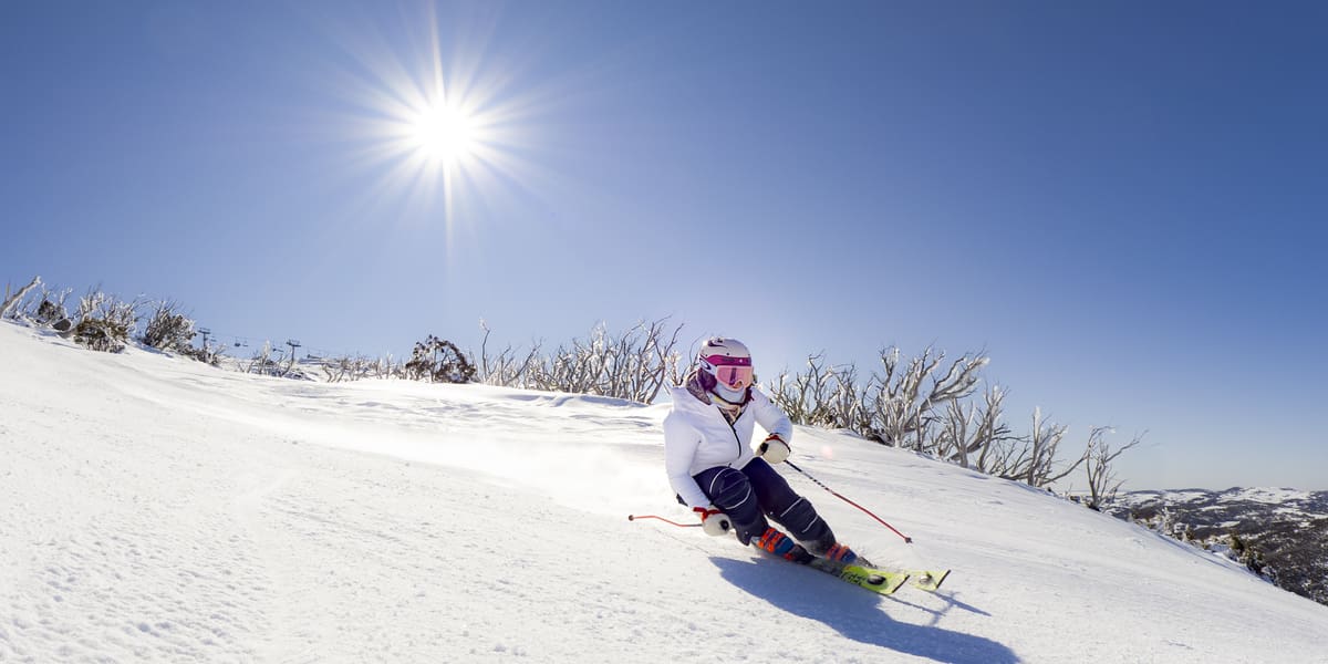 AD_Perisher_August_11,_2020__Zoe_Blue_Cow_EDM