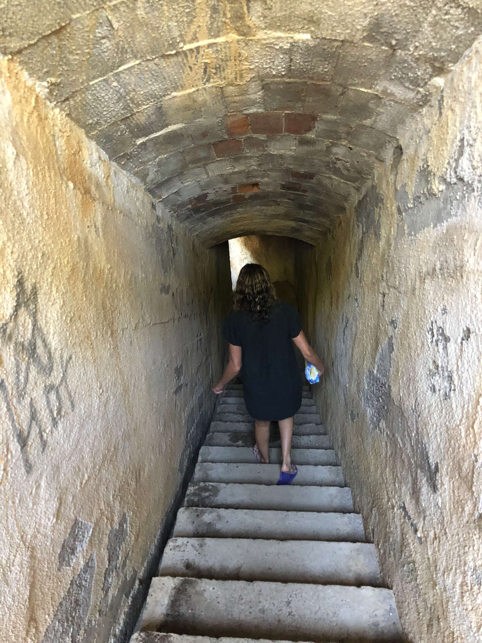 IMG_8264