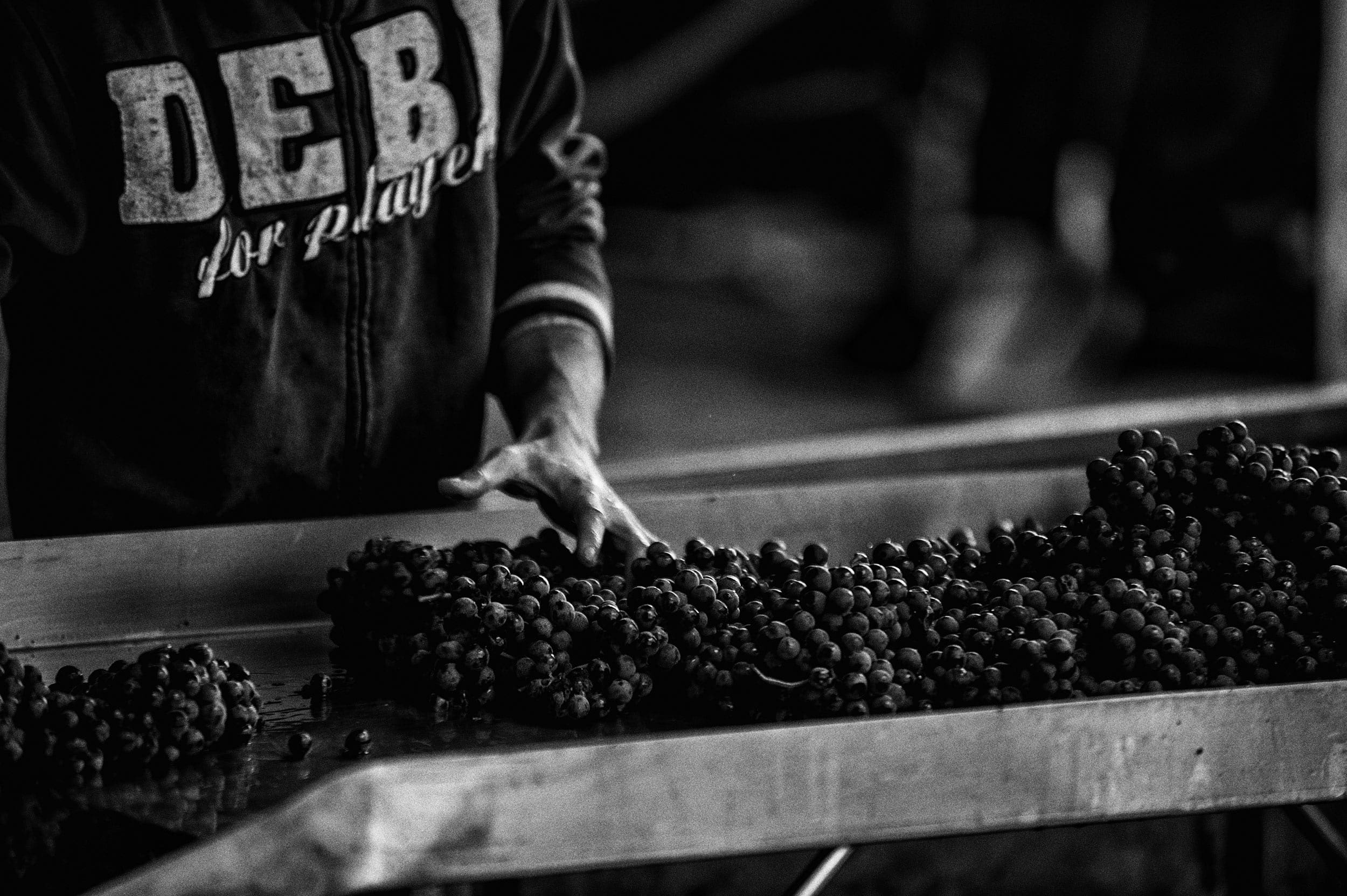 ALMANAK > FIGI LUIGI ODDERO BAROLO