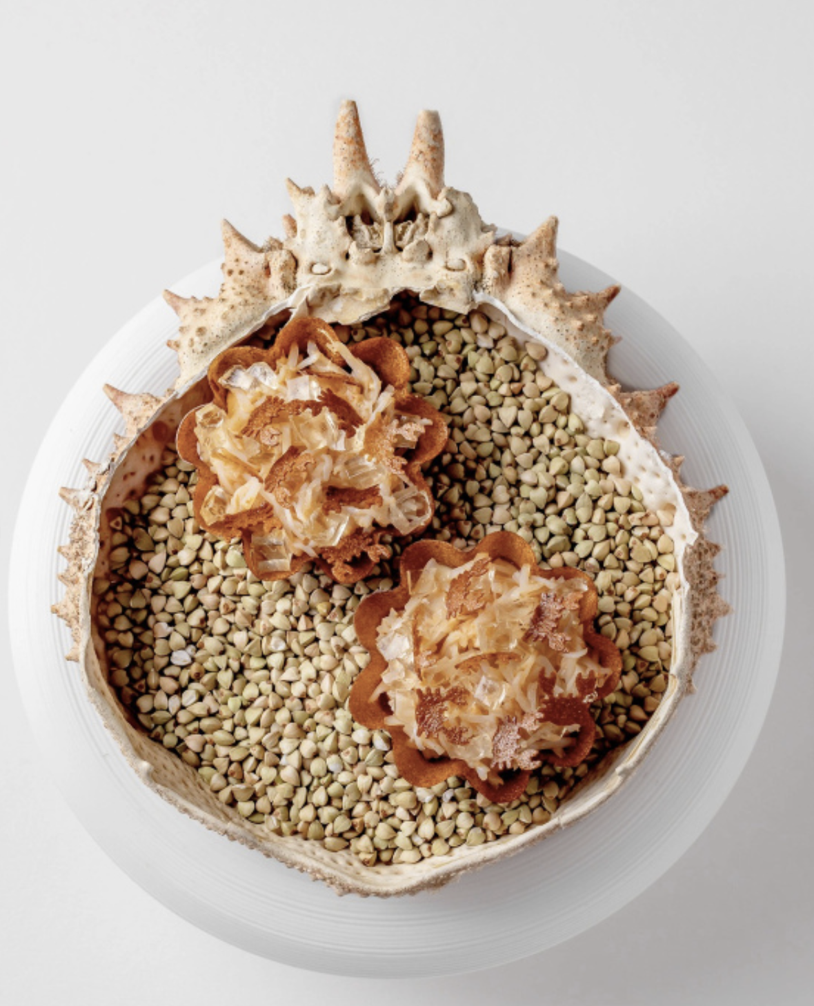 Frog by Adam Handling, Covent Garden